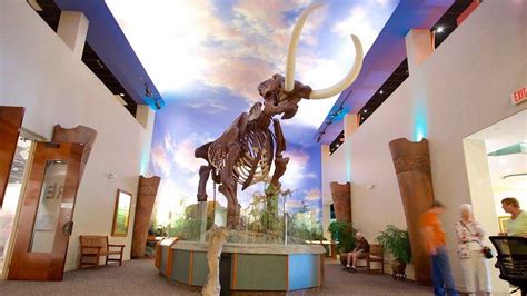 The bishop museum of science and nature - 